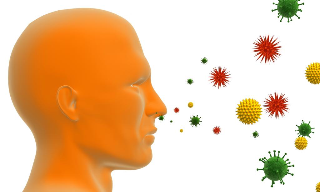 Как попадают аллергены в организм