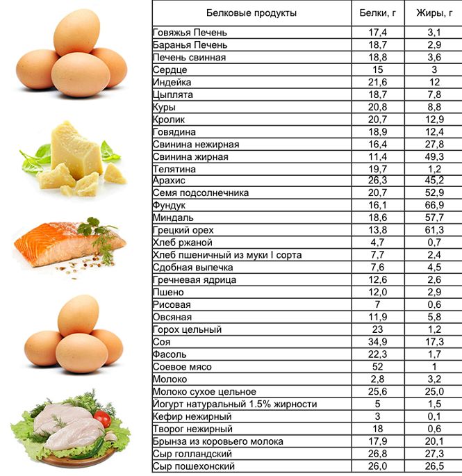Список белковых продуктов