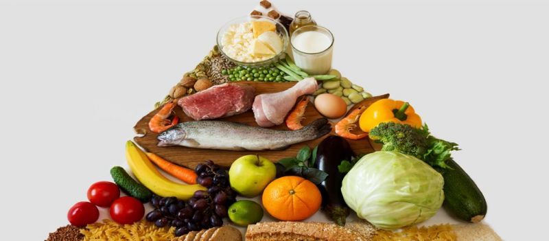 Особенности белково-овощной диеты