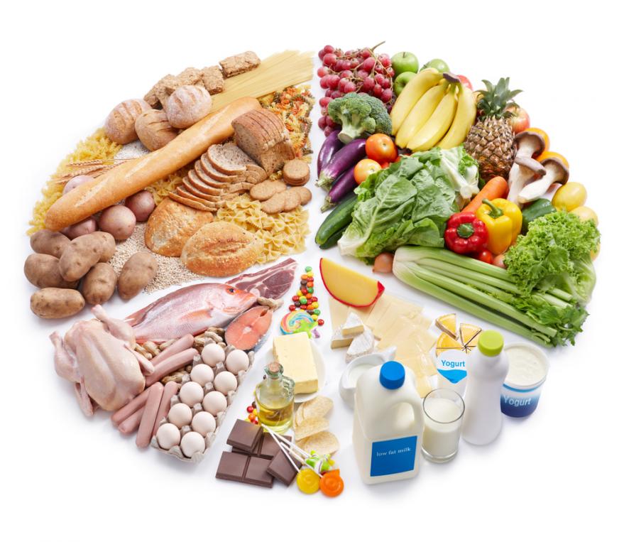 витаминно-белковая диета