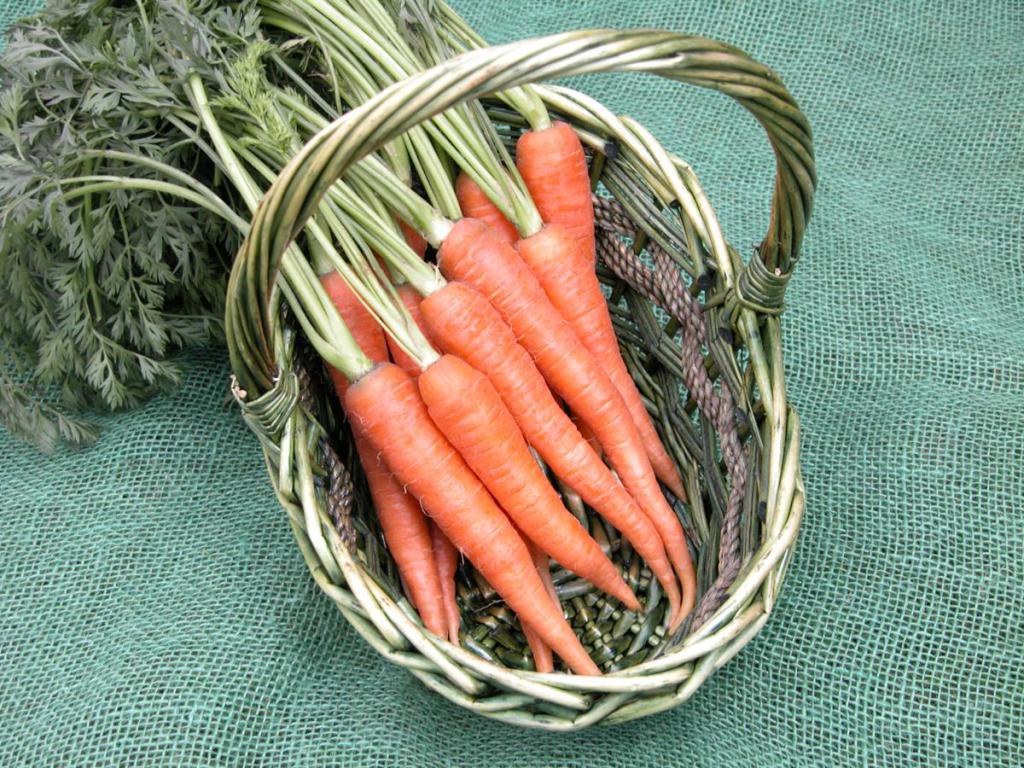 Морковь в корзине