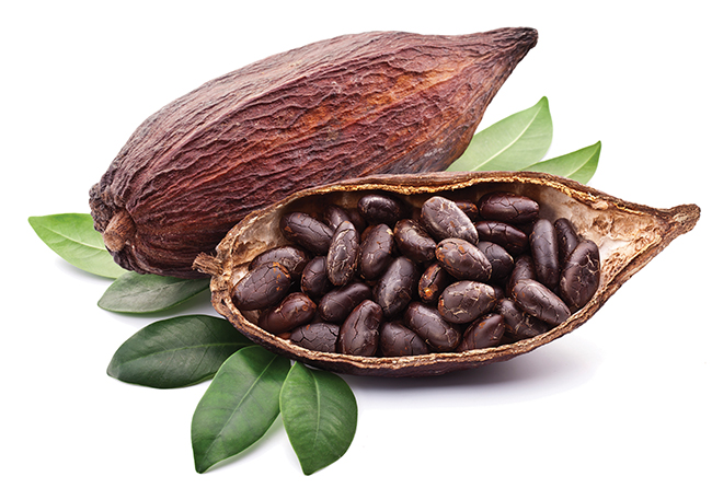 Вкусные бобы какао
