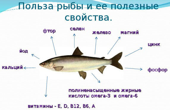 Полезные вещества в рыбе