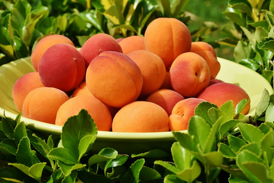 особенности абрикосовой диеты